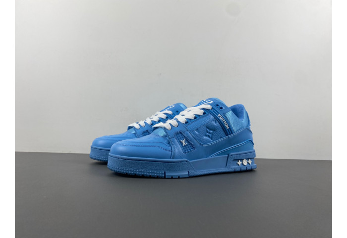 L1VV TRAINER