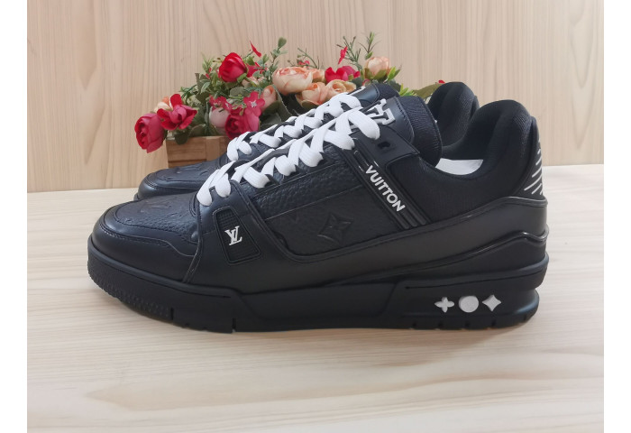 L1VV TRAINER
