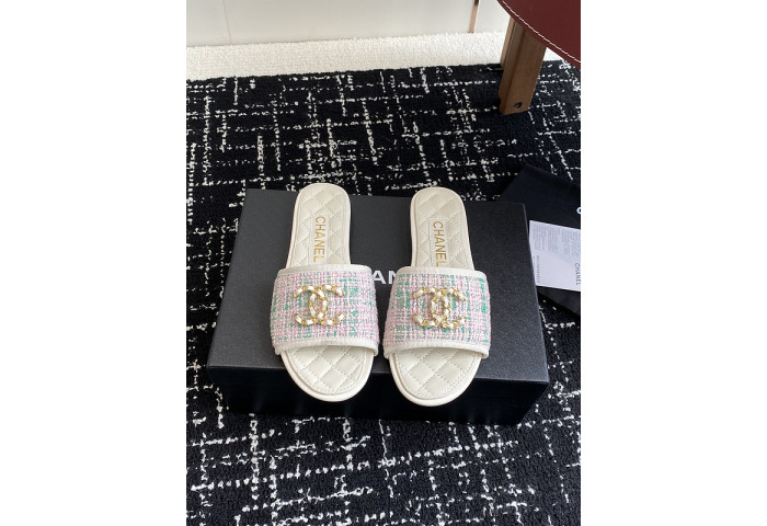 Chane1 Slides