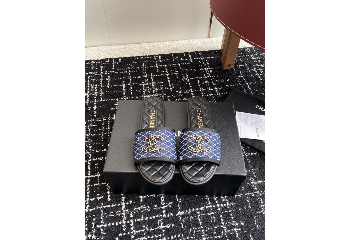 Chane1 Slides