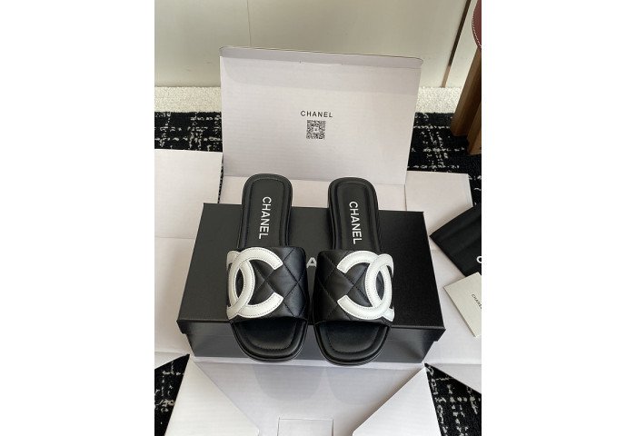 Chane1 Slides