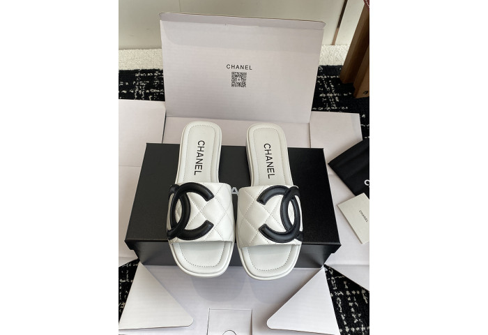 Chane1 Slides