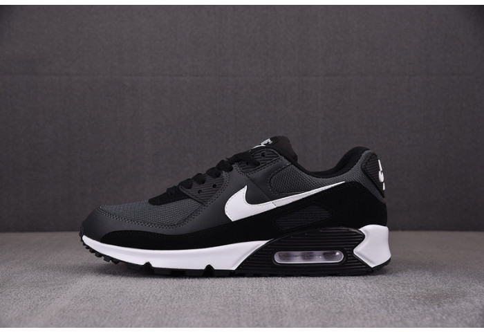 Nike Air Max 90 Iron Grey CN8490-002