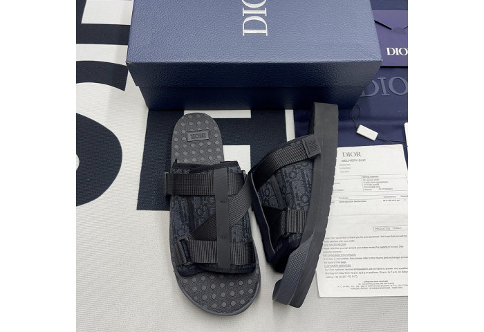 D1OR Slides