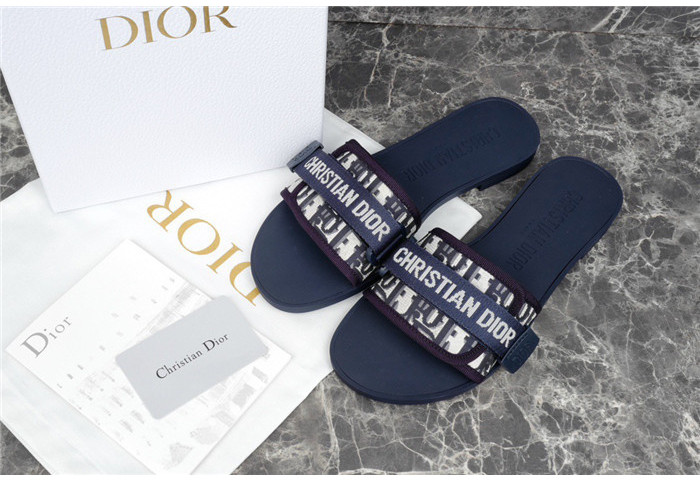 D1OR Slides
