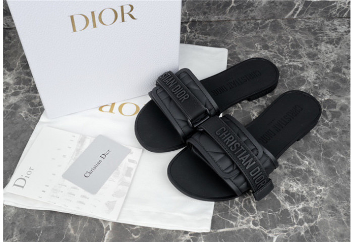 D1OR Slides