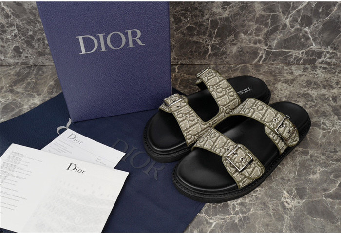 D1OR Slides