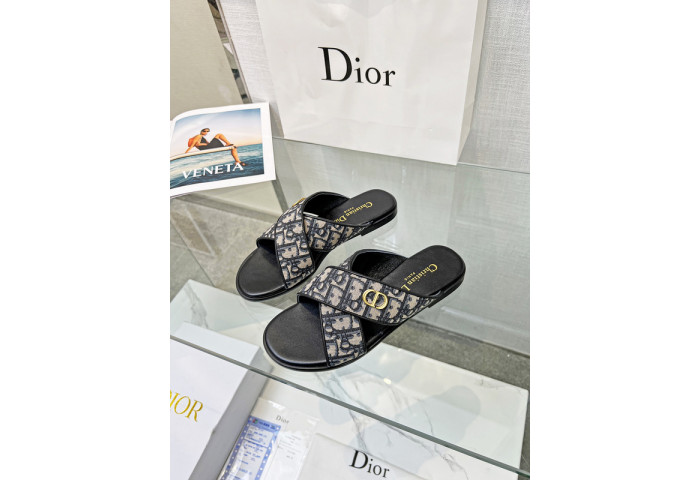 D1OR Slides