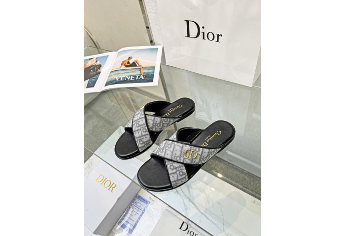 D1OR Slides