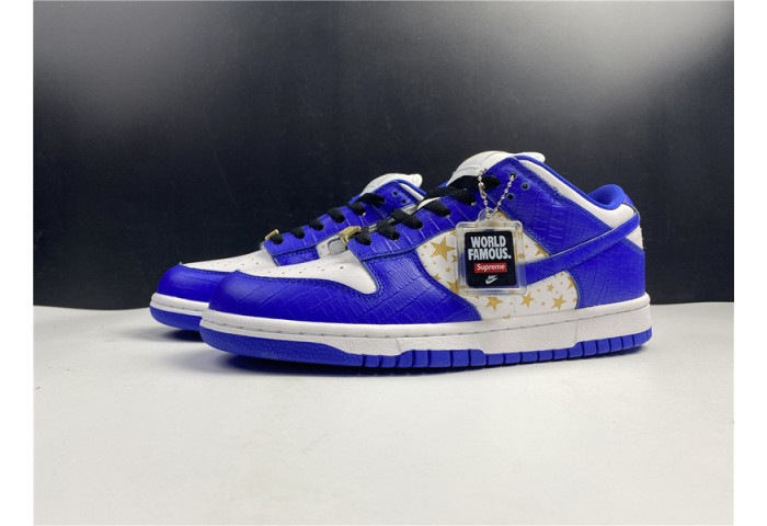 Nike SB Dunk Low DH3228-103