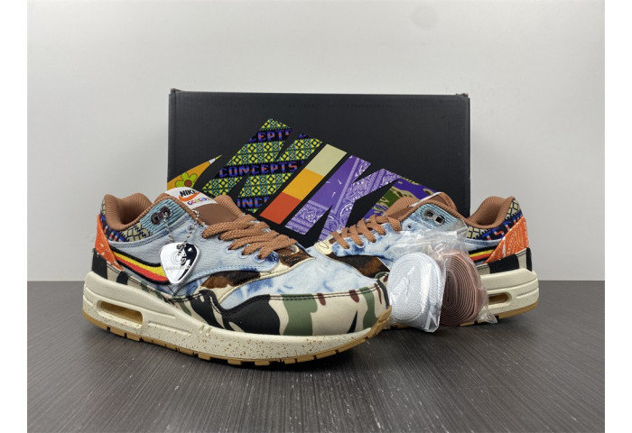 Nike Air Max 1 SP Concepts Heavy DN1803-900
