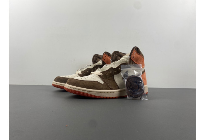 Air Jordan 1 Retro High OG SP Dusted Clay FQ2941-200