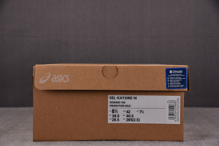 ASICS SHOES