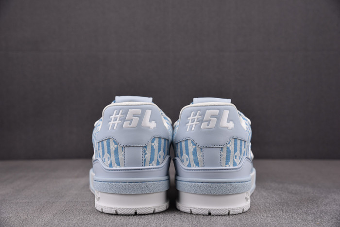 L1VV TRAINER