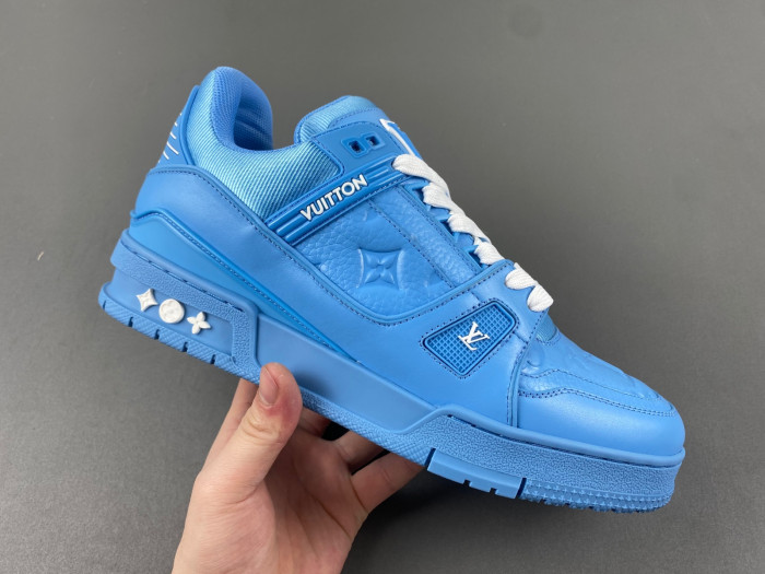 L1VV TRAINER