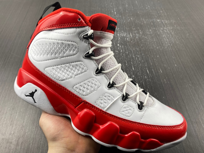 Air Jordan 9 Gym Red 302370-160