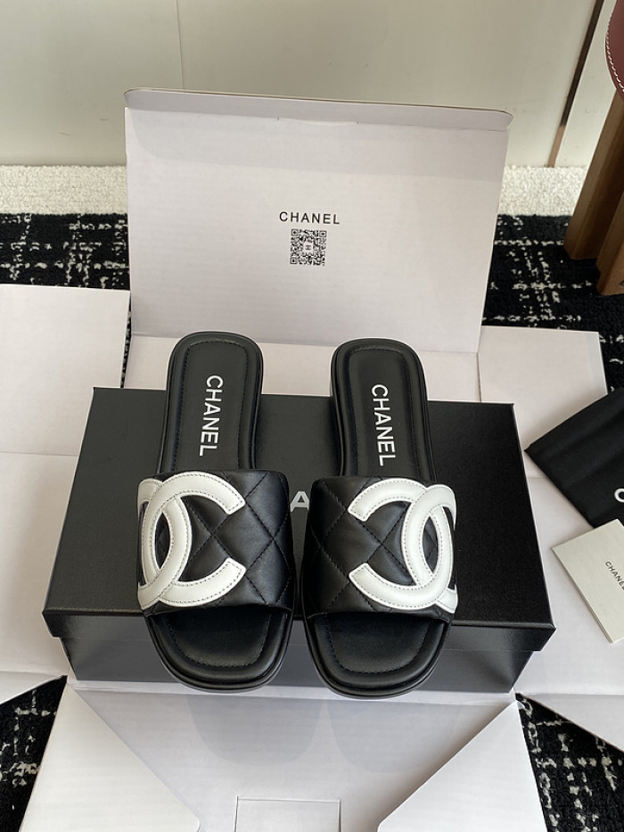 Chane1 Slides