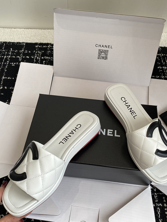 Chane1 Slides