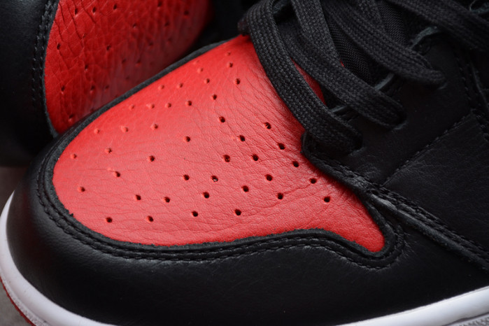 Air Jordan 1 Retro High NC to Chi Leather CD0461-046
