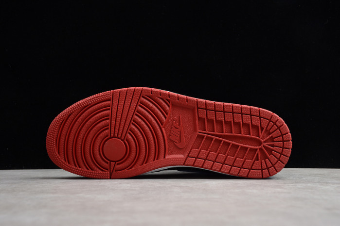 Air Jordan 1 Retro High NC to Chi Leather CD0461-046