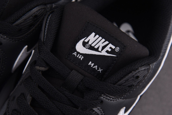 Nike Air Max 90 Iron Grey CN8490-002