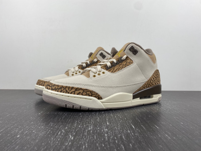 Air Jordan 3 Retro Palomino CT8532-102