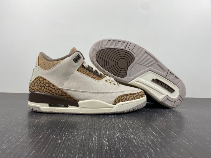 Air Jordan 3 Retro Palomino CT8532-102