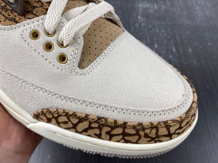 Air Jordan 3 Retro Palomino CT8532-102