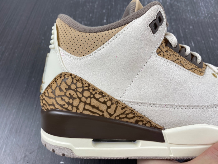 Air Jordan 3 Retro Palomino CT8532-102