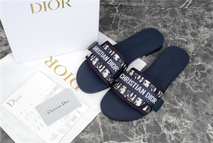 D1OR Slides