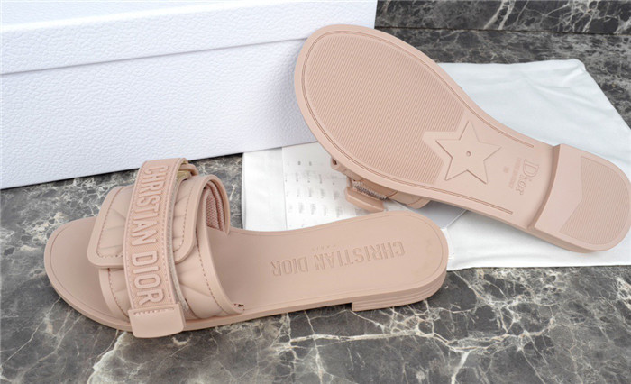 D1OR Slides