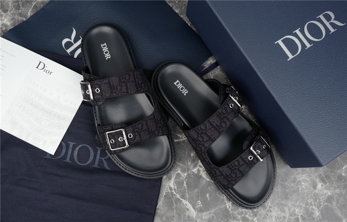 D1OR Slides