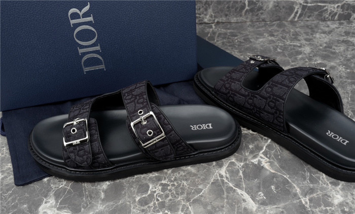 D1OR Slides