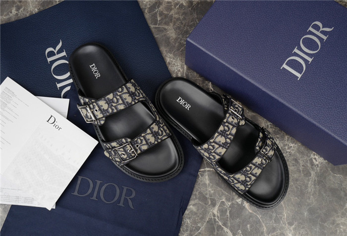 D1OR Slides