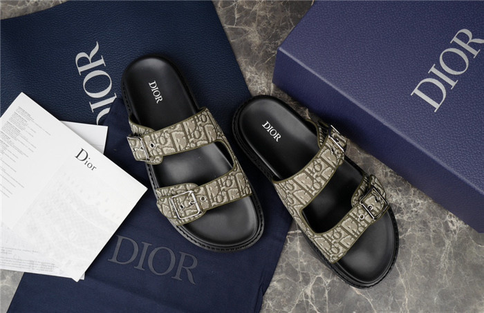 D1OR Slides