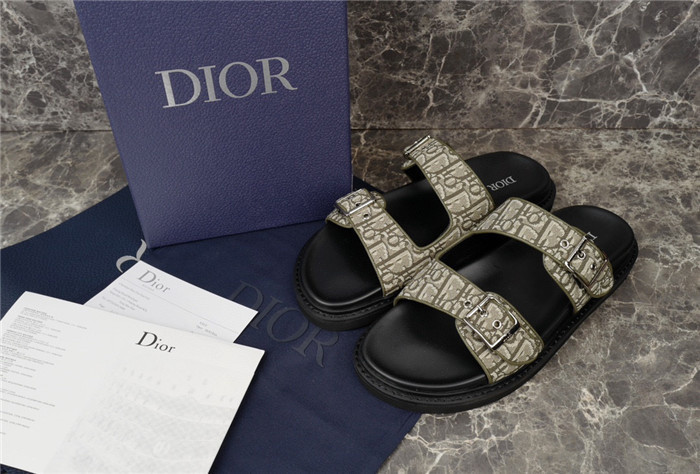 D1OR Slides
