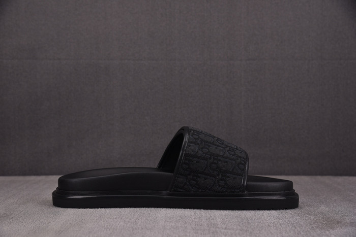 D1OR Slides