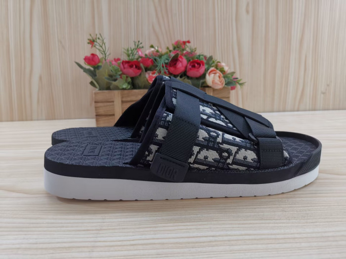 D1OR Slides