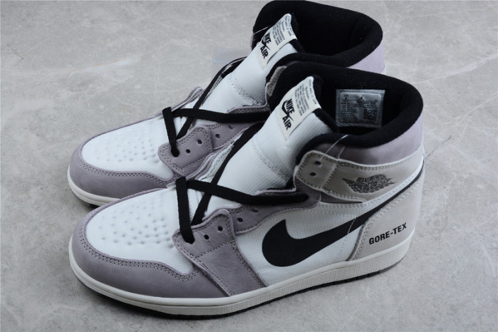 Air Jordan 1 High Element Gore-Tex Light Bone DB2889-100