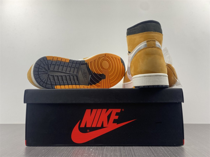 Air Jordan 1 High Element Gore-Tex Light Curry Jordan 1 DB2889-700