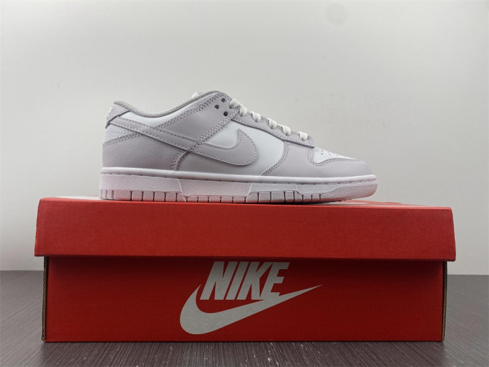 Nike Dunk Low Venice (W) DD1503-116