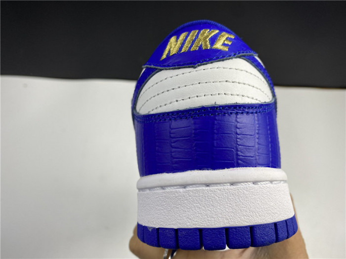 Nike SB Dunk Low DH3228-103