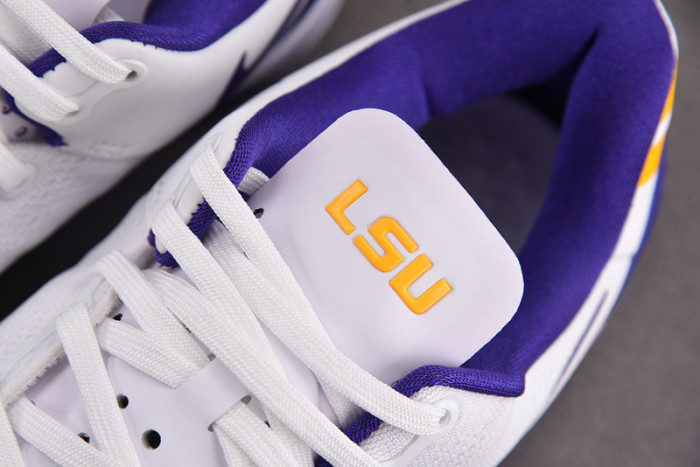 Nike Kobe 8 Protro 